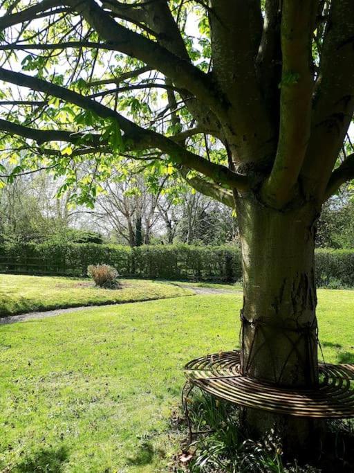 Host & Stay - Clara Cottage Bretforton ภายนอก รูปภาพ