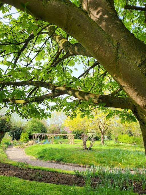Host & Stay - Clara Cottage Bretforton ภายนอก รูปภาพ