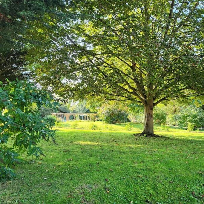 Host & Stay - Clara Cottage Bretforton ภายนอก รูปภาพ